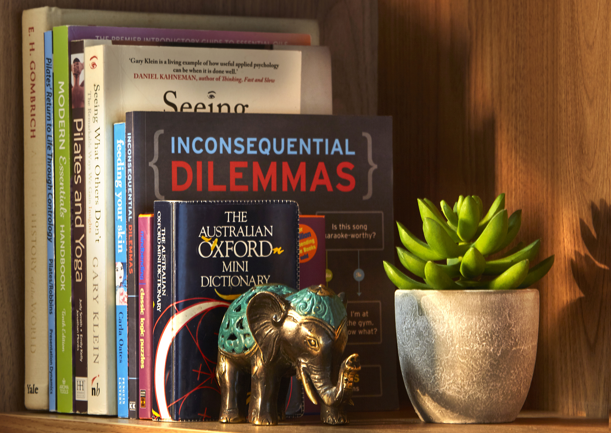 Books, a potted succulent and an ornamental elephant on a wooden shelf