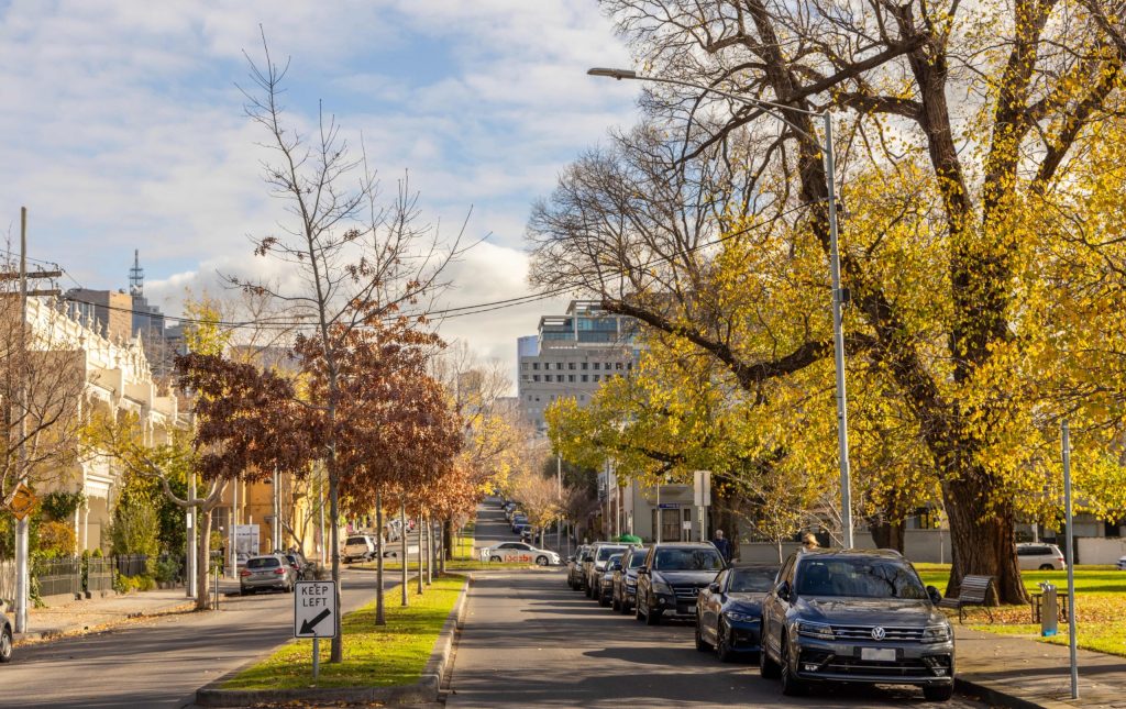 Tree-lined residential street in East Melbourne